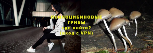 стафф Бородино