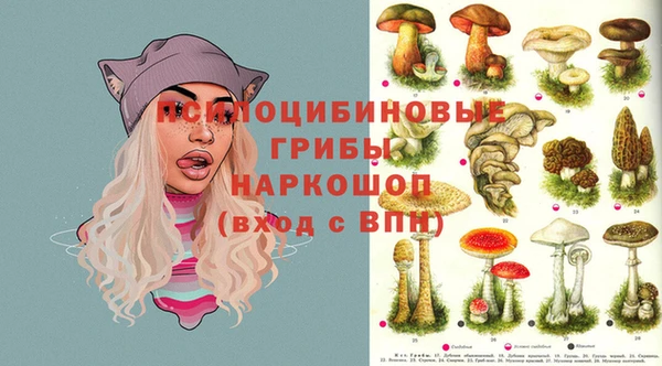 стафф Бородино
