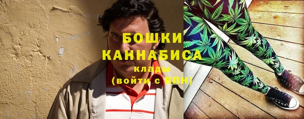 прущие грибы Осинники
