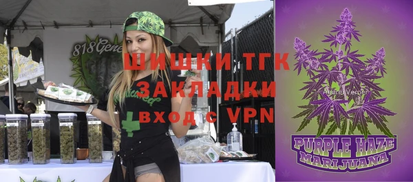 стафф Бородино
