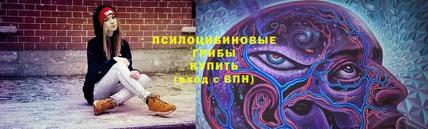 стафф Бородино