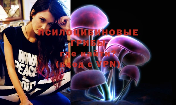 стафф Бородино