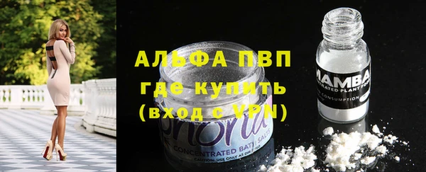 стафф Бородино